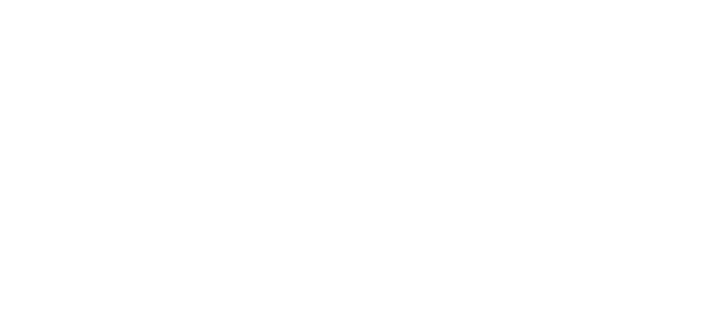 Alogis-logowhite
